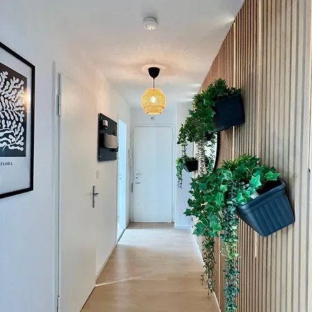 Rue 256 - Design אסן